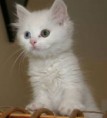 /album/foto%c4%9fraflar%3a-anasayfa/images-9-jpg/